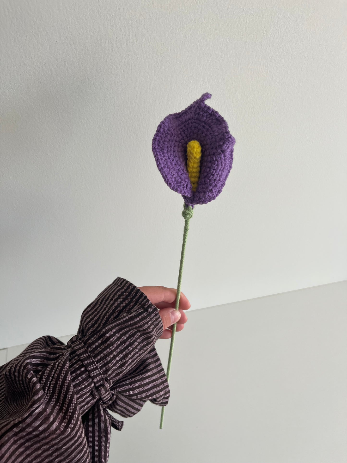 Calla lelie