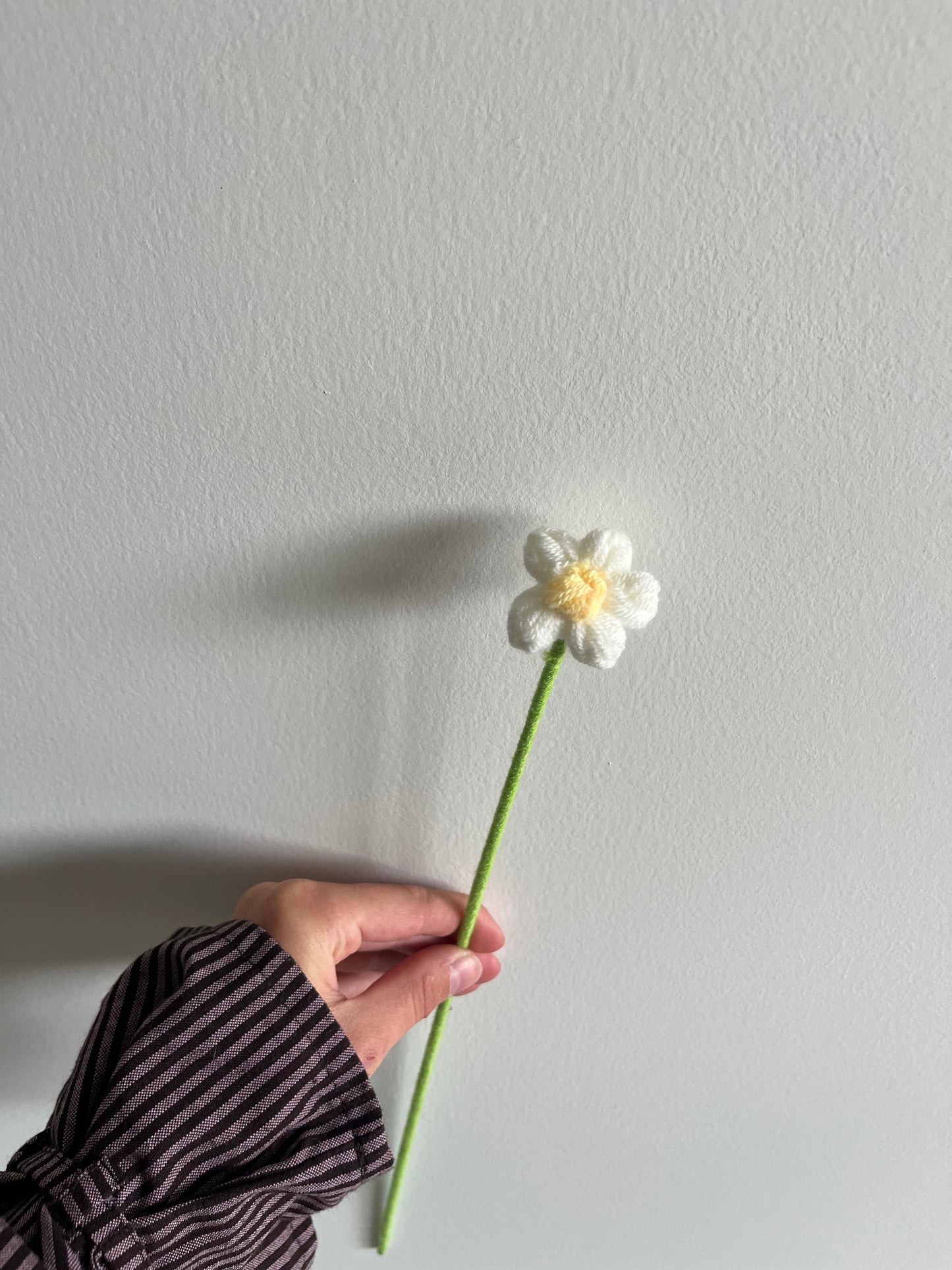 Puff bloem