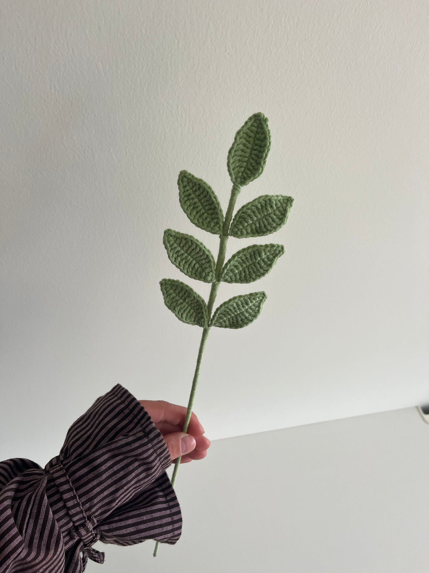 Eucalyptus blad