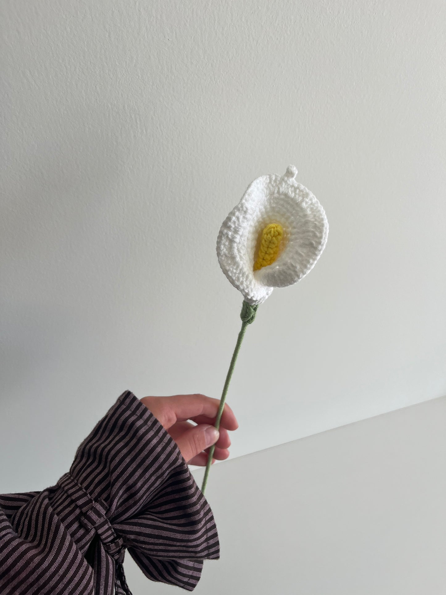 Calla lelie