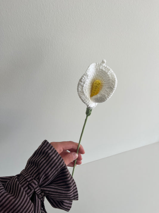 Calla lelie