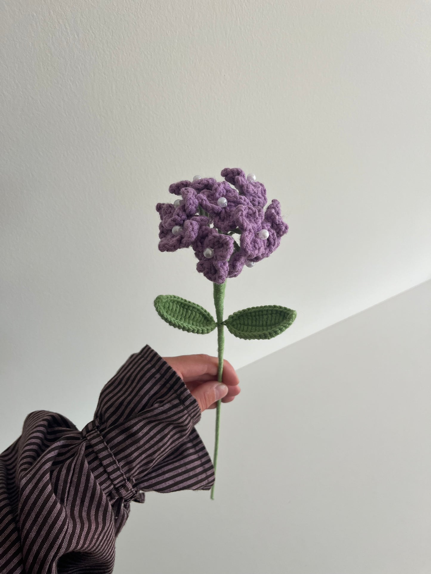 Hortensia