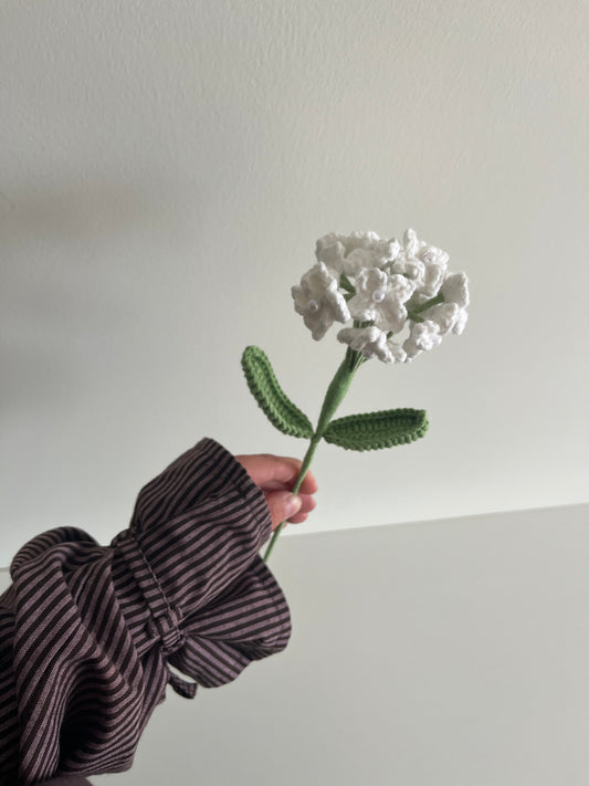 Hortensia