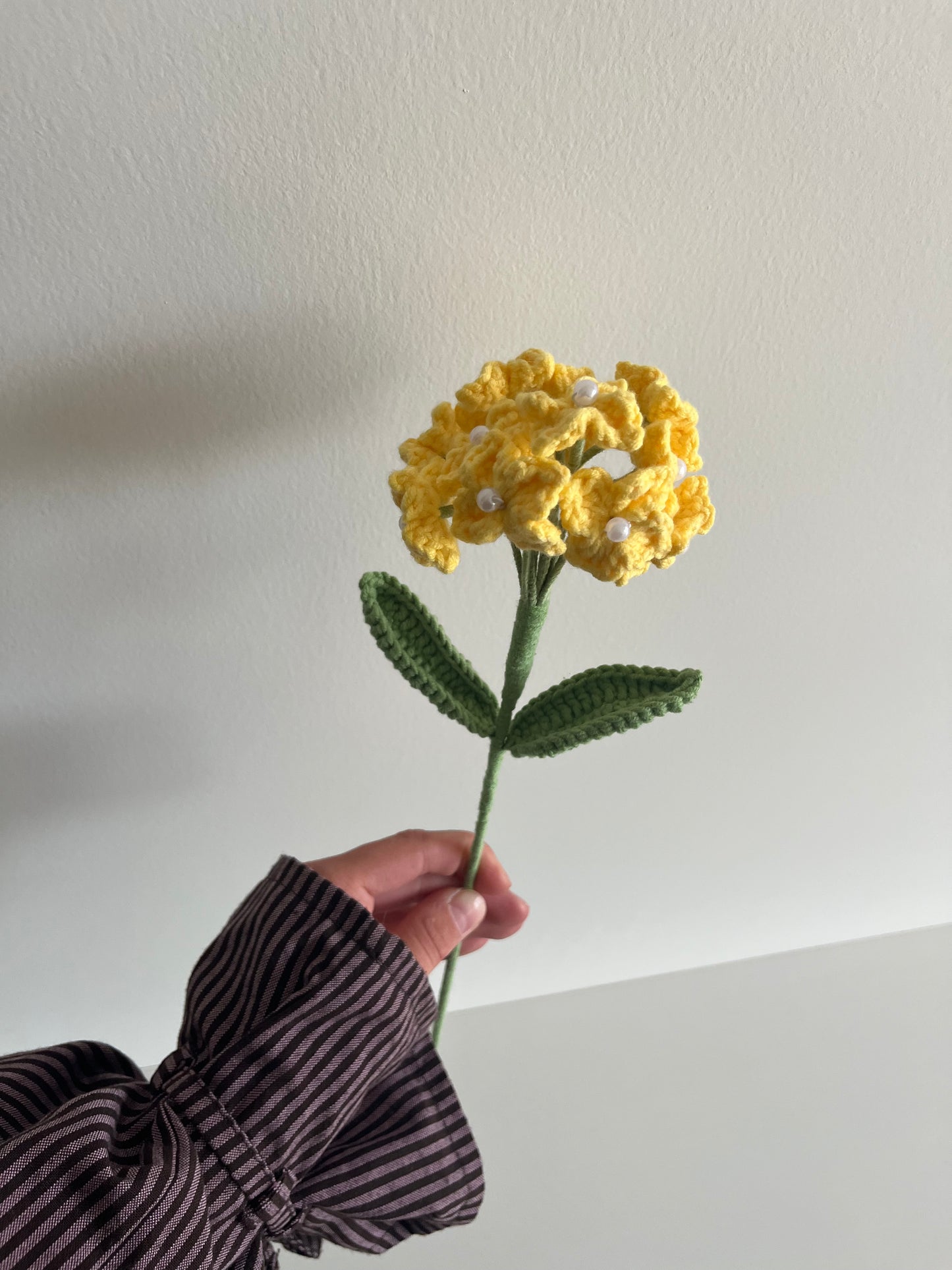 Hortensia