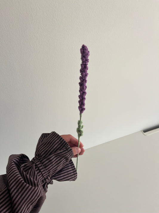 Lavendel