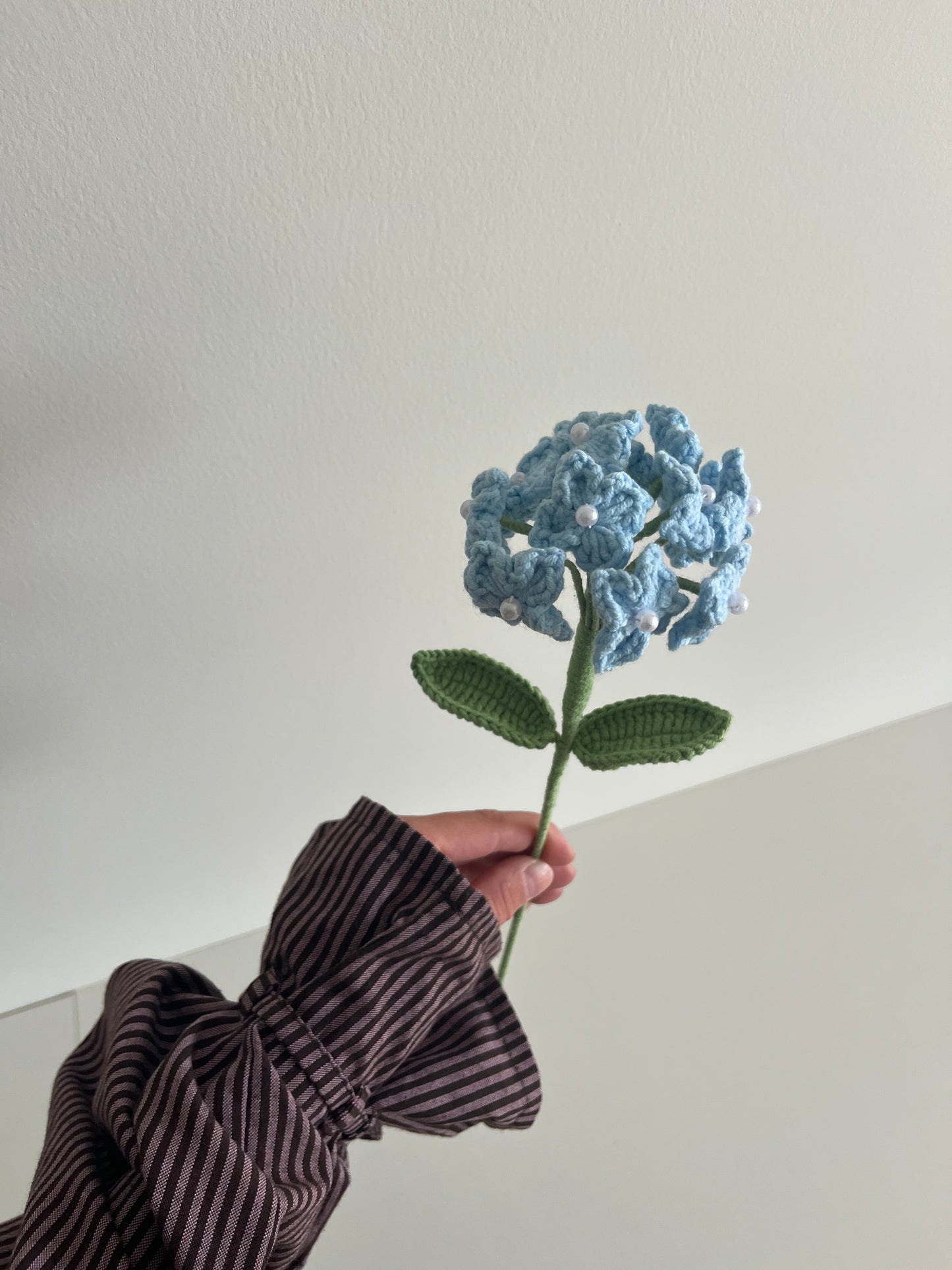 Hortensia