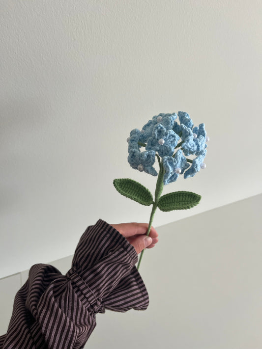 Hortensia