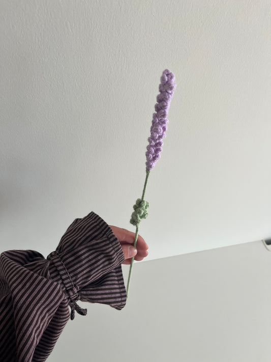 Lavendel