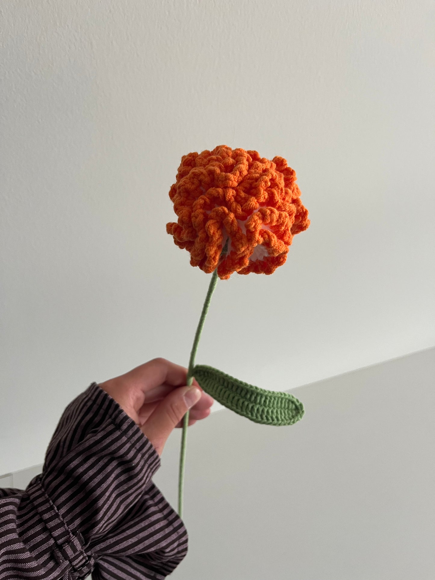 Anjer