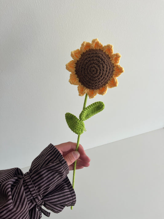 Zonnebloem