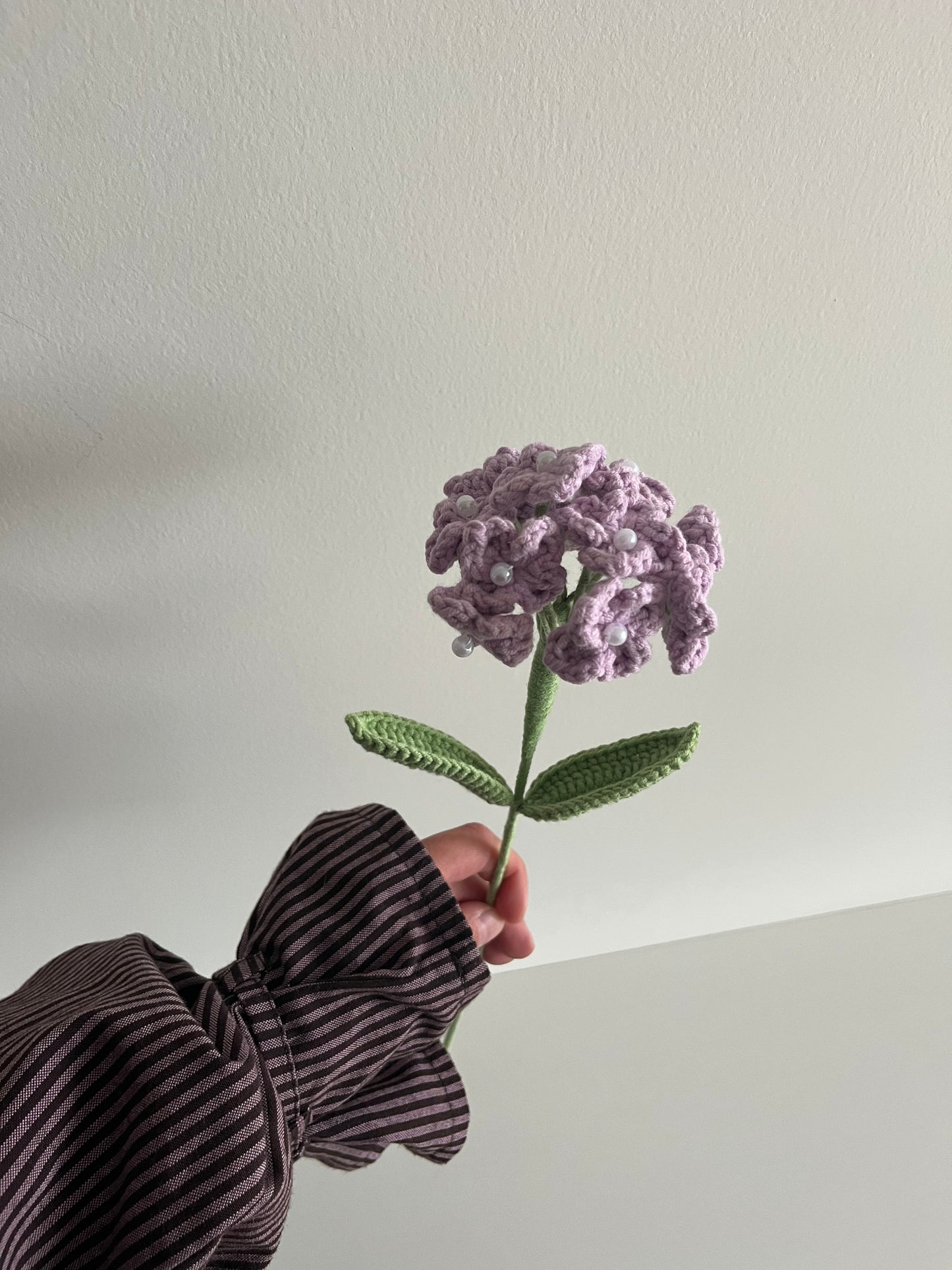 Hortensia