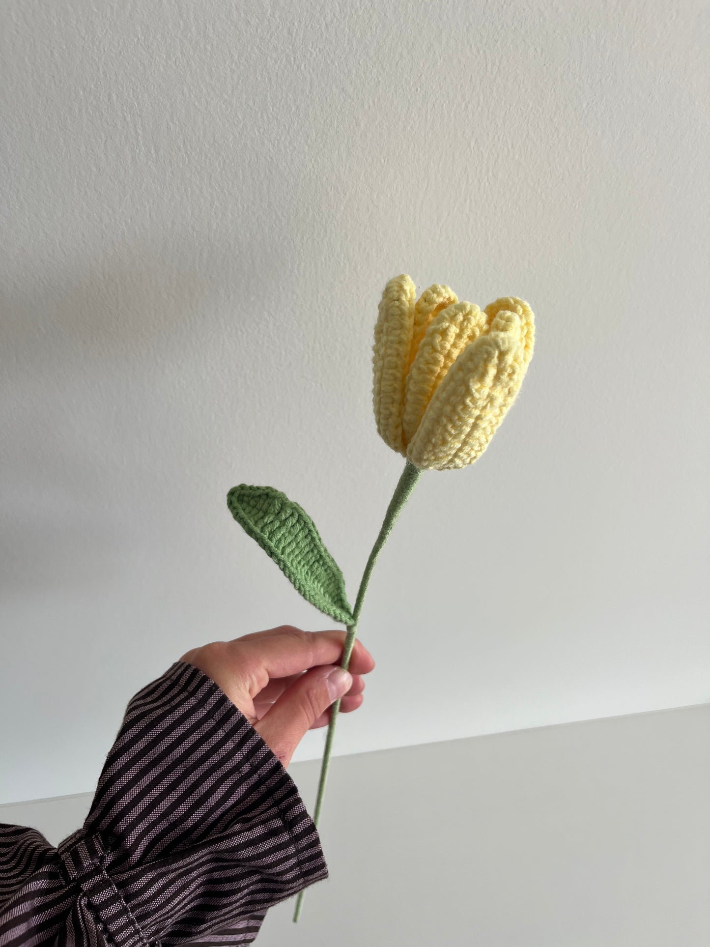 Tulp