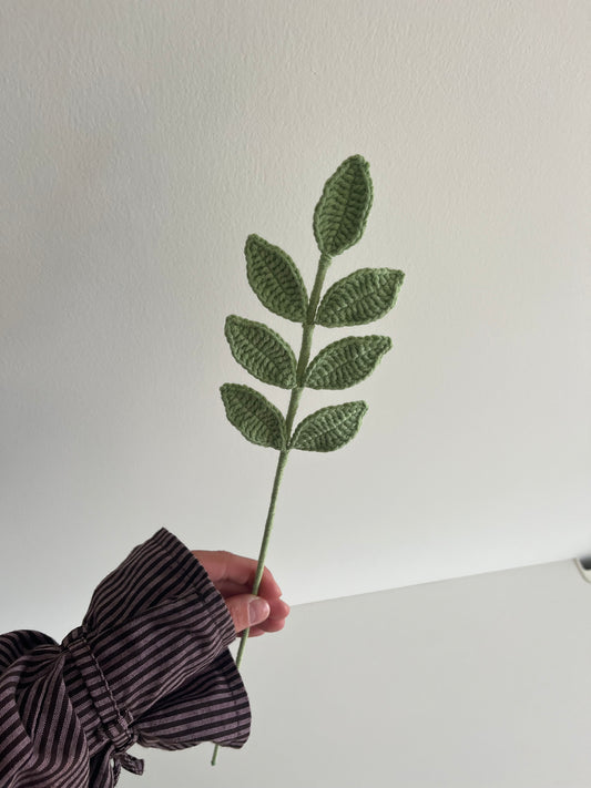 Eucalyptus blad