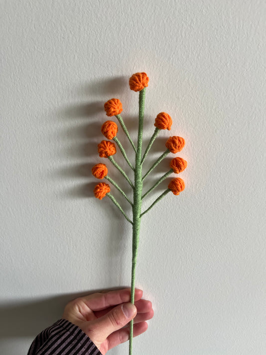 Bloemknoppen