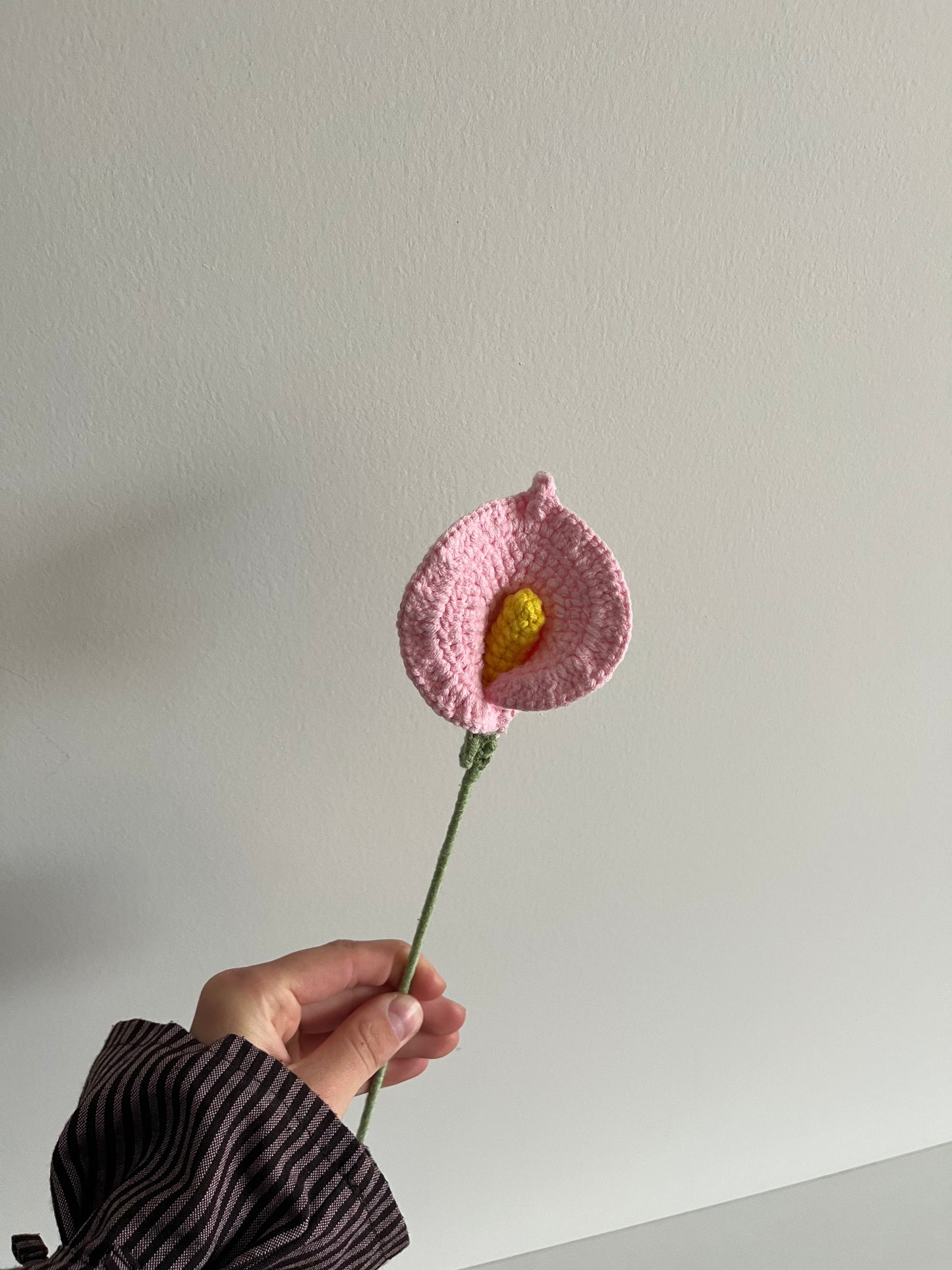 Calla lelie