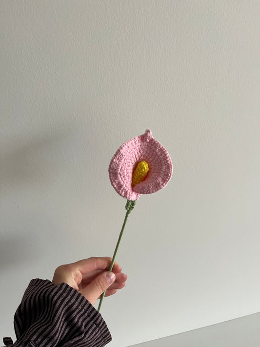 Calla lelie